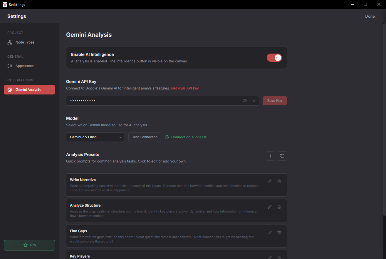 Settings panel showing API Key input field in the AI section